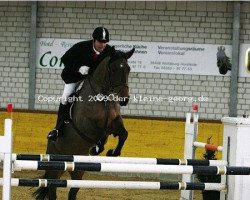 jumper Rhuna (Hanoverian, 2001, from Ravallo 115 FIN)