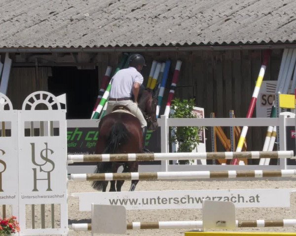 Reitturnier Memmingen/Schw. 2022