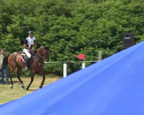 Reitturnier Bad Windsheim/Mfr. 2022