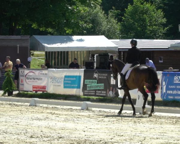 Reitturnier Bad Marienberg - OT Nisterau 2022
