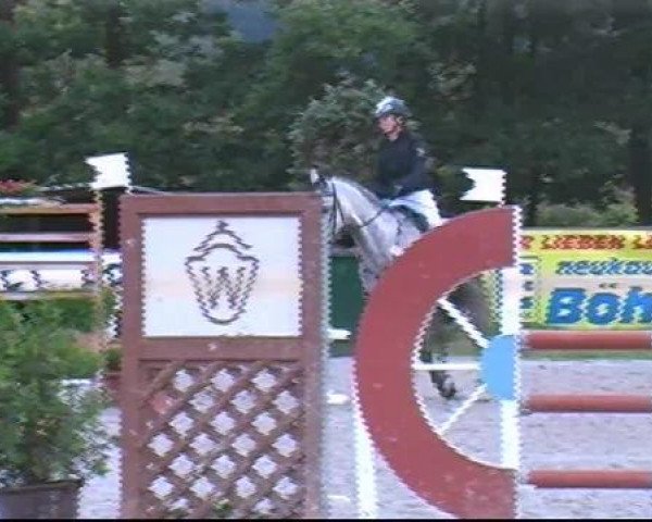 Springpferd Romantic Greyballet (KWPN (Niederländisches Warmblut), 2003, von Romantic Steeplemaus)