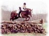 stallion Malteser (German Riding Pony, 1988, from Marsvogel xx)