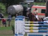 jumper San Miguel 4 (Hanoverian, 2000, from Silvio I)