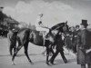 stallion Prestige xx (Thoroughbred, 1903, from Le Pompon xx)