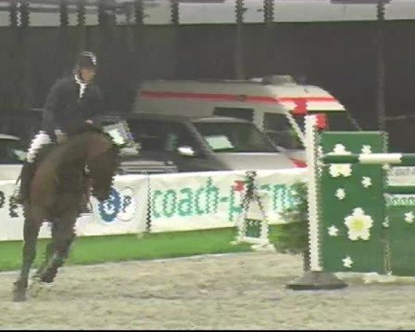 jumper Vision 23 (KWPN (Royal Dutch Sporthorse), 2006, from Querida 35)