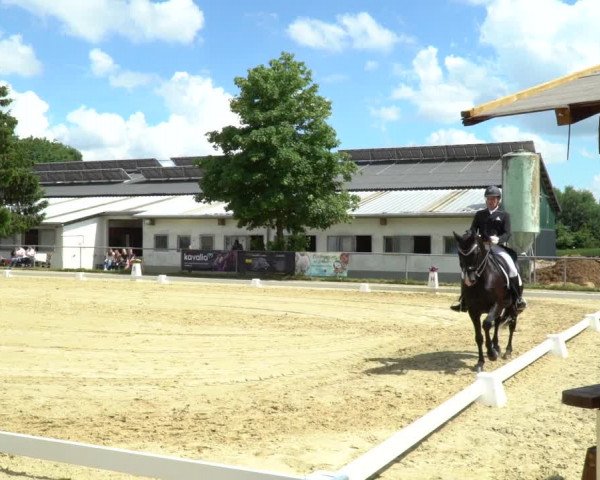 Reitturnier Bad Marienberg - OT Nisterau 2022