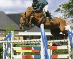 stallion Grenat de Grez (Selle Français, 1994, from Saphir Rouge II)