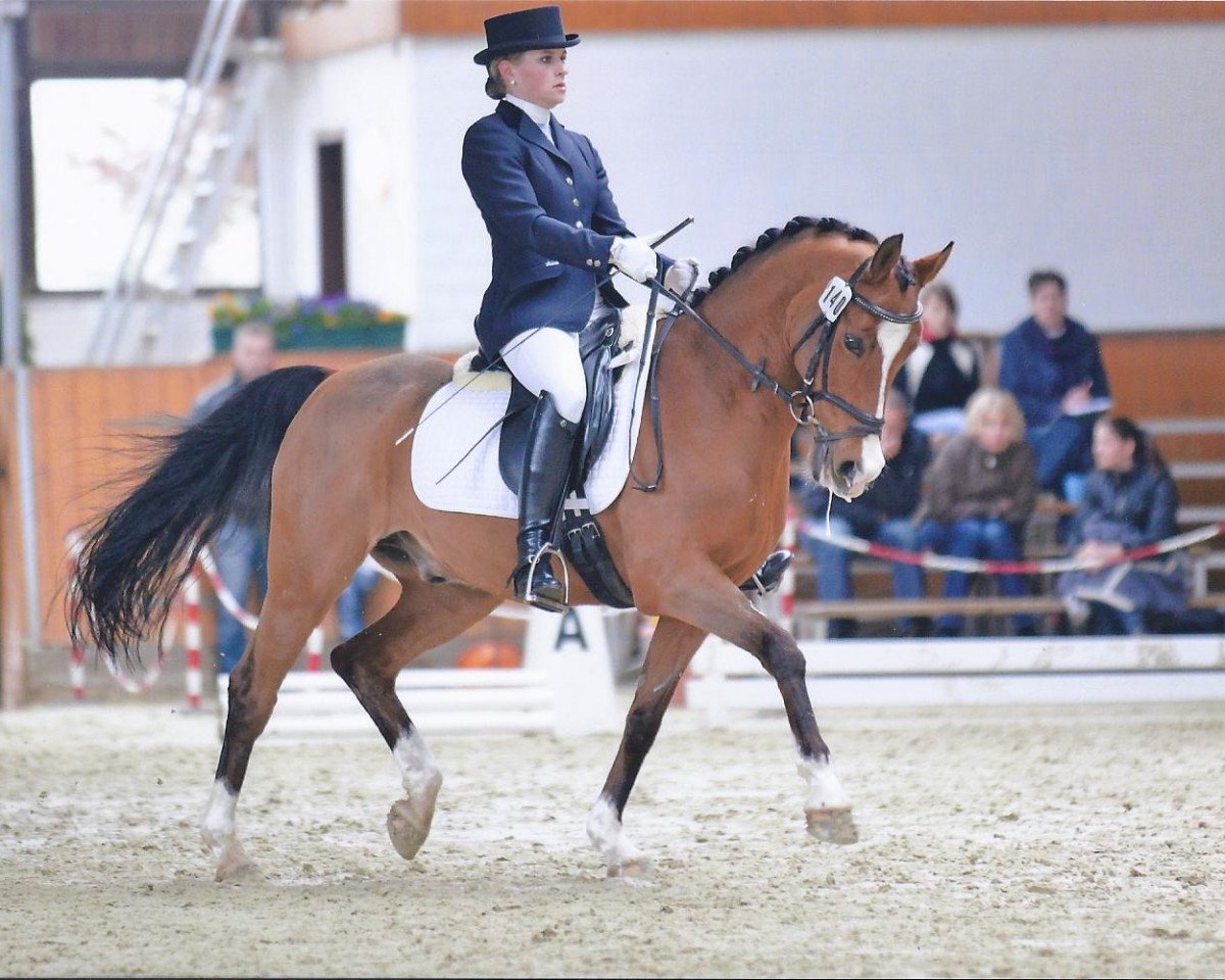 dressage horse Eindershof Carlos (Nederlands Welsh Ridepony, 1997, from Bjirmen's Wytse)