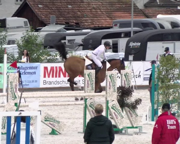 Reitturnier Gossau 2022