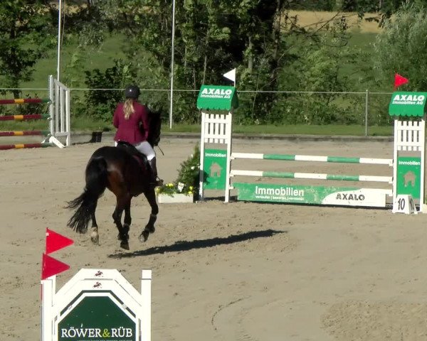 Reitturnier Maienfeld 2022