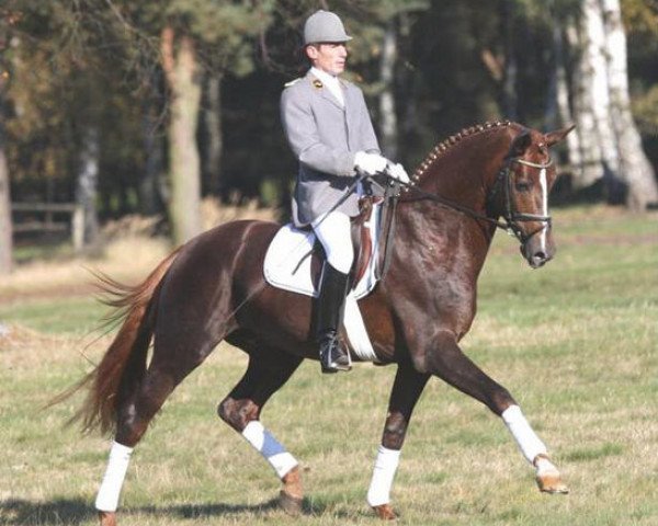 stallion Fürst Nymphenburg (Hanoverian, 2005, from Florencio I)