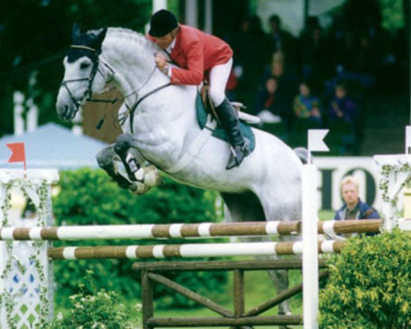 horse Coronado I (Holsteiner, 1990, from Corrado I)