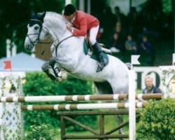 stallion Coronado I (Holsteiner, 1990, from Corrado I)