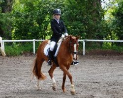 broodmare Champions Lady (German Riding Pony, 2004, from FS Champion de Luxe)