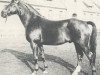 horse Wolfsburg (Hanoverian, 1963, from Florentiner II)