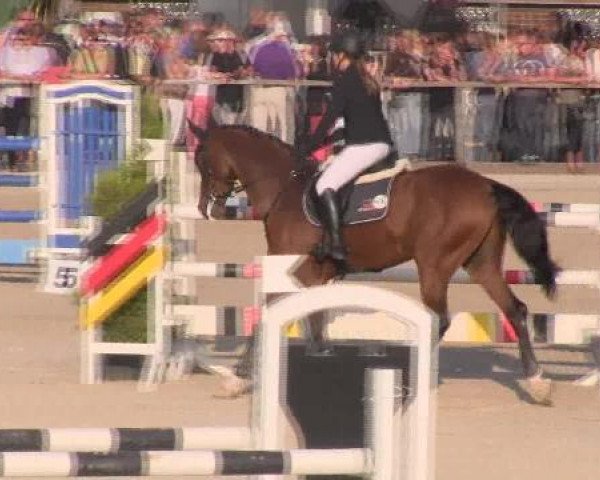 horse Landco (Holsteiner, 1987, from Landgraf I)