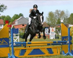 jumper Wyoming 194 (Hessian Warmblood, 2005, from Wampun)