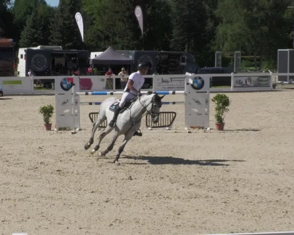 Reitturnier Memmingen/Schw. 2022