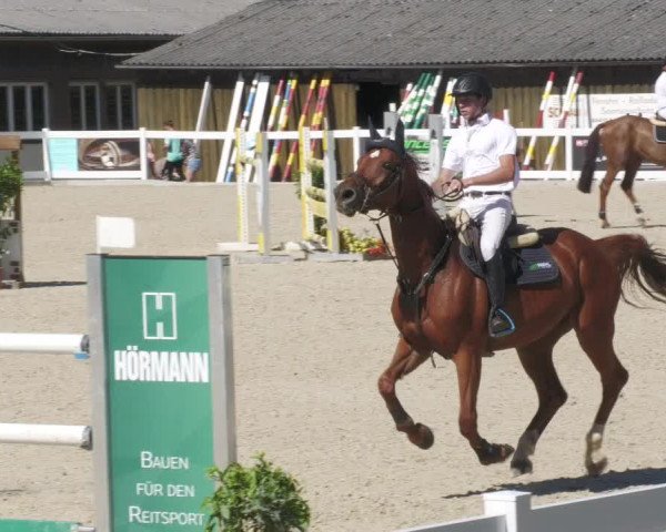 Reitturnier Memmingen/Schw. 2022