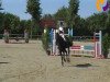 jumper Valentina (German Riding Pony, 2006, from Vincent)