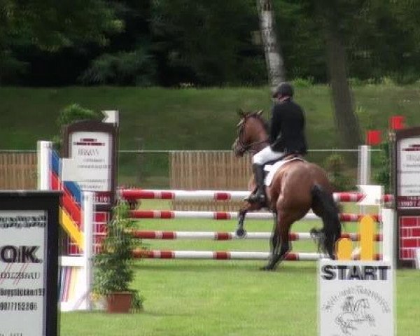 jumper Casira 6 (Oldenburg show jumper, 2008, from Casiro I)