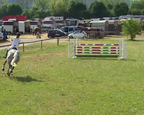 Reitturnier Bad Windsheim/Mfr. 2022