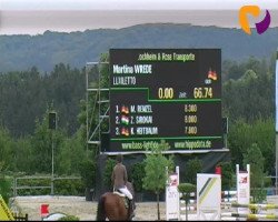 jumper Luxiletto (Oldenburg show jumper, 2007, from Luxius)