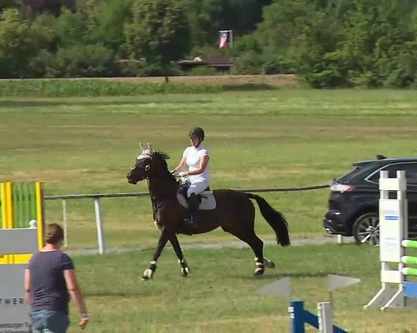 Reitturnier Bad Windsheim/Mfr. 2022