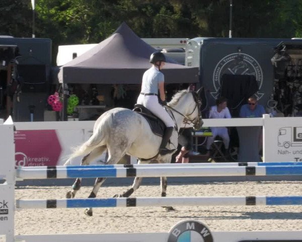 Reitturnier Memmingen/Schw. 2022