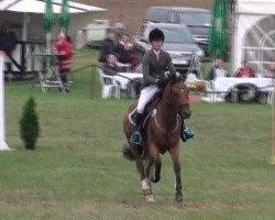 jumper Chantre 32 (German Riding Pony, 2003, from Caliostro)