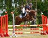 jumper Chapeau Lu (German Riding Pony, 2015, from Chantre 31)