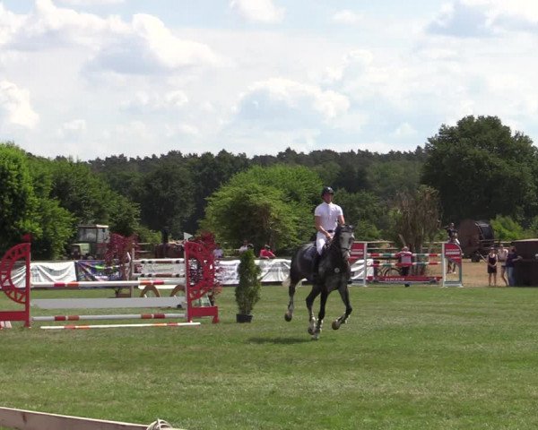 Reitturnier Schillerslage 2022