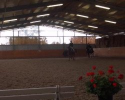 dressage horse Ruby Jones (Westphalian, 1998, from Ritterorden)