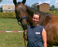 broodmare Ciara (Trakehner, 1993, from Unkensee)