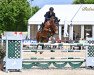 jumper Baloukaat (Oldenburg show jumper, 2016, from Balou du Rouet)