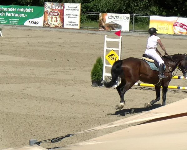 Reitturnier Maienfeld 2022