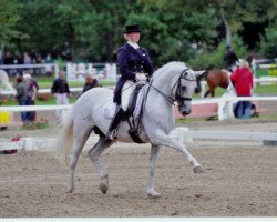 stallion Best Before Midnight (Trakehner, 1997, from Sir Shostakovich xx)