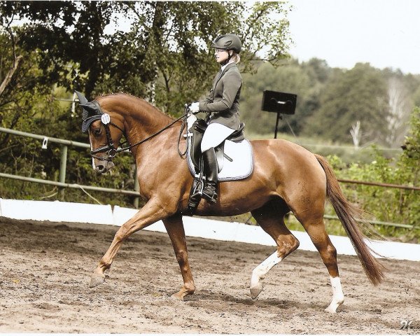 broodmare Donna Evita (Hanoverian, 2008, from Dancier)