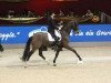 dressage horse Meggle's Weltall VA (Hanoverian, 1994, from Weltmeyer)