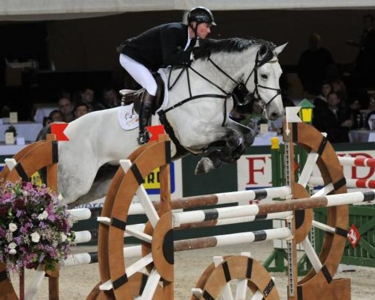 Deckhengst Chippendale Z (Zangersheide Reitpferd, 2000, von Cento)