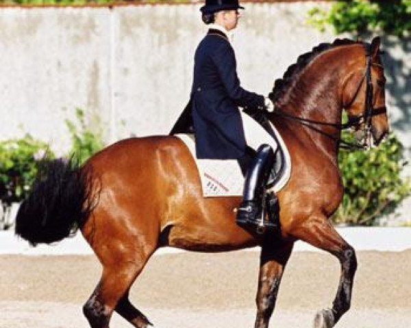 horse Weinrausch (Hanoverian, 1992, from Walt Disney I)