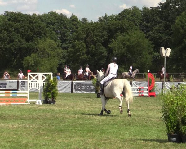 Reitturnier Schillerslage 2022