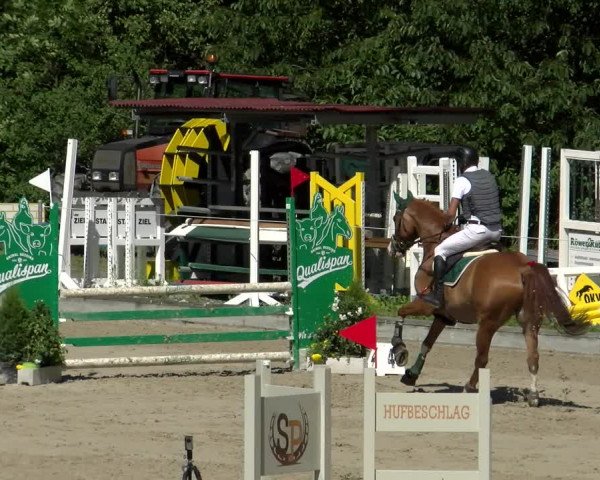 Reitturnier Maienfeld 2022