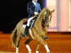 stallion Londonderry (Hanoverian, 1995, from Lauries Crusador xx)
