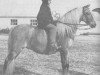 stallion Coed Coch Blaen Lleuad (Welsh-Pony (Section B), 1953, from Criban Victor)