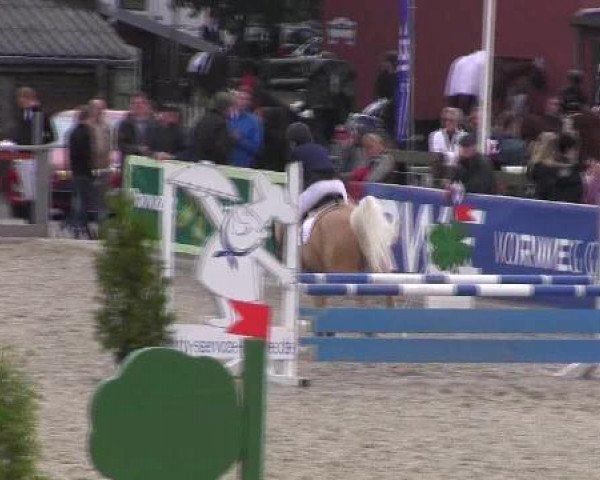 horse Golden Sunshine (Trakehner, 1993, from Unkensee)