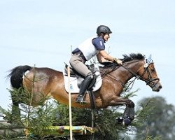 broodmare Eliza (German Riding Pony, 2001, from Negro)