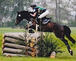 broodmare Quitellis (German Riding Pony, 1999, from Negro)