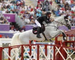 stallion Wonderboy III (Belgian Warmblood, 1999, from Flamenco de Semilly)