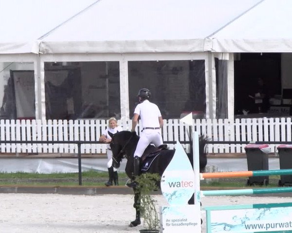 Reitturnier Gossau 2022